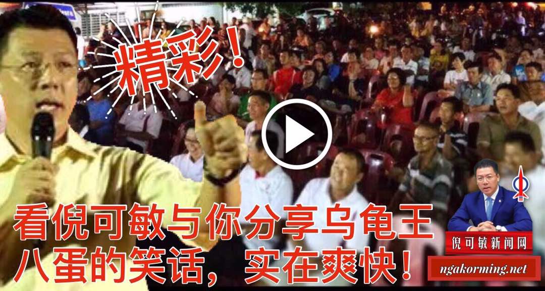 精彩！看倪可敏与你分享乌龟王八蛋的笑话，实在爽快！