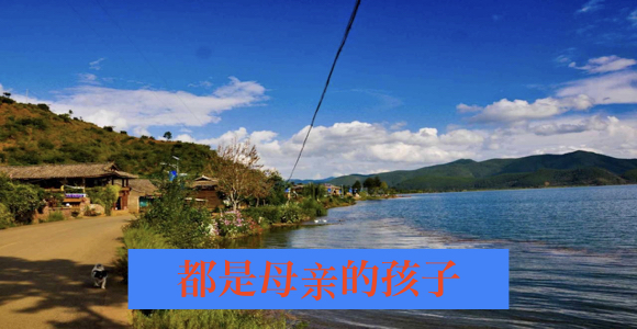 都是母亲的孩子