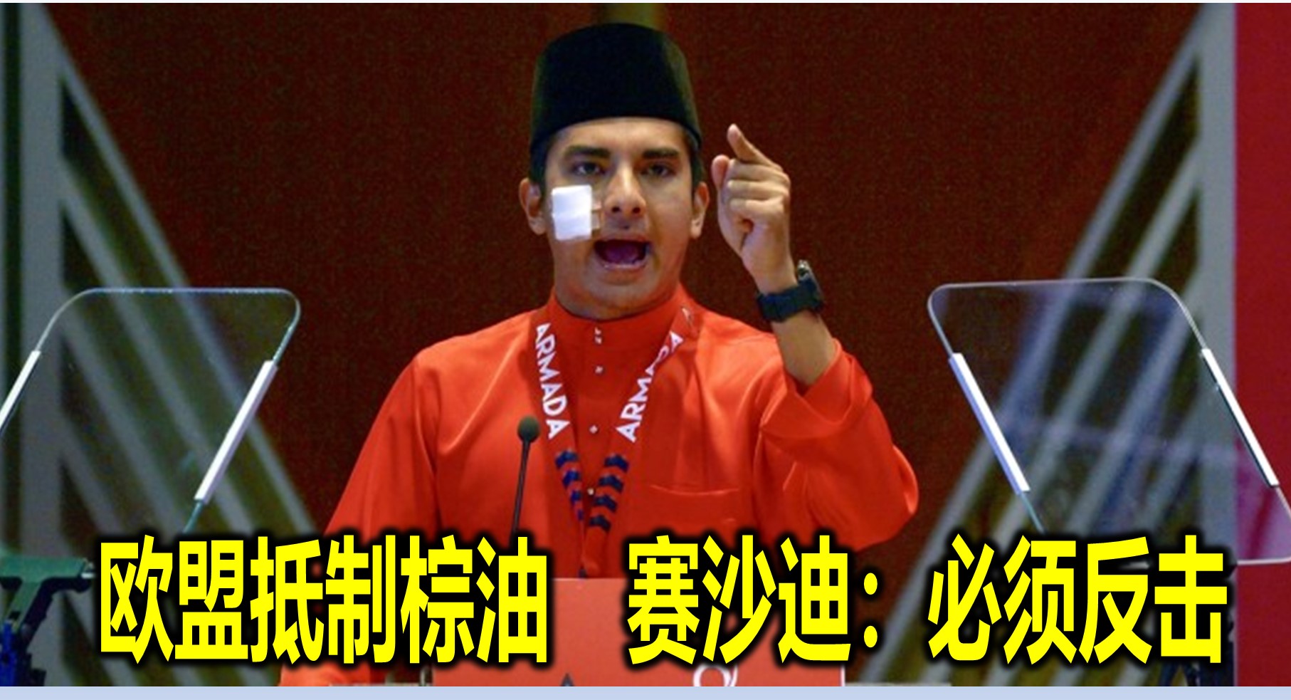 欧盟抵制棕油　赛沙迪：必须反击