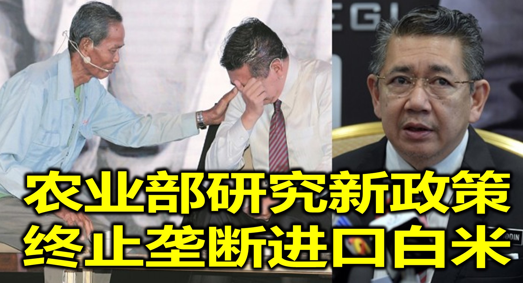 农业部研究新政策　终止垄断进口白米