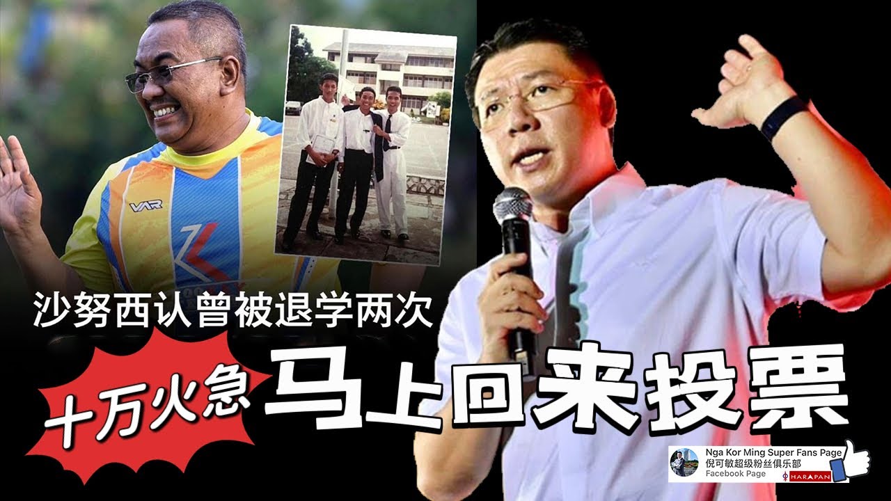 倪可敏:十万火急,马上回来投票!