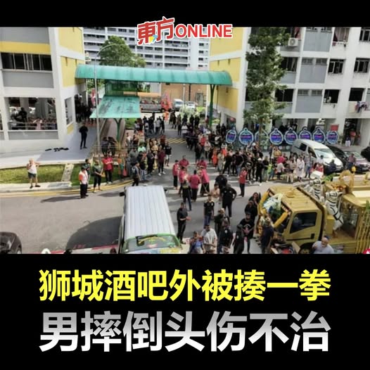 狮城酒吧外被揍一拳　男摔倒头伤不治