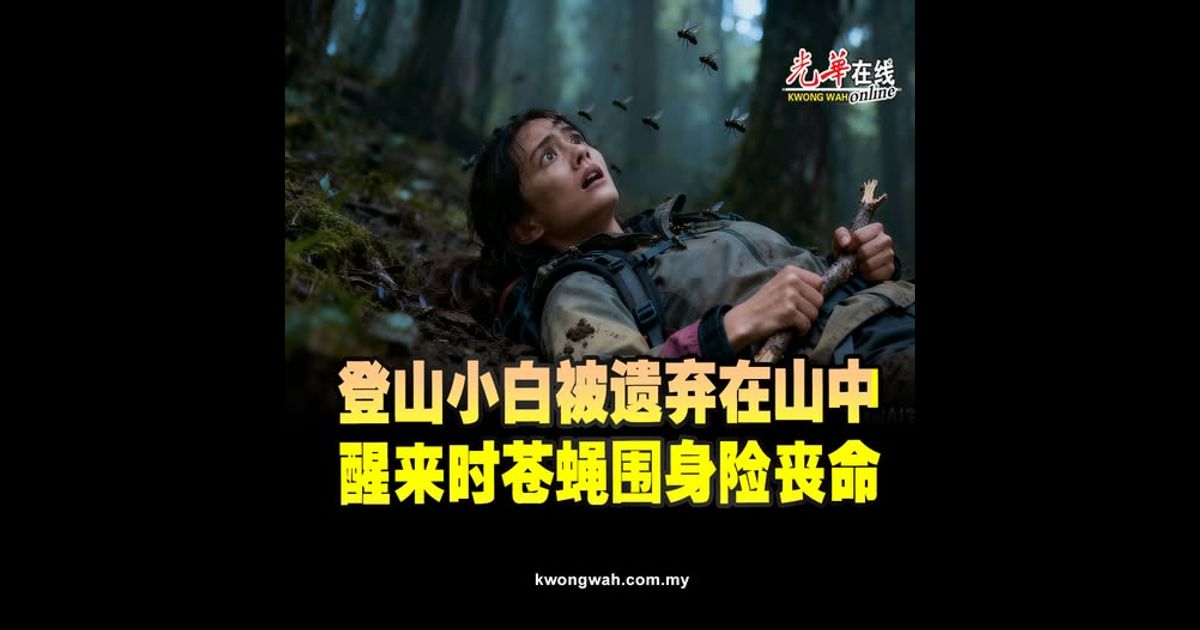 登山小白被遗弃在山中   醒来时苍蝇围身险丧命