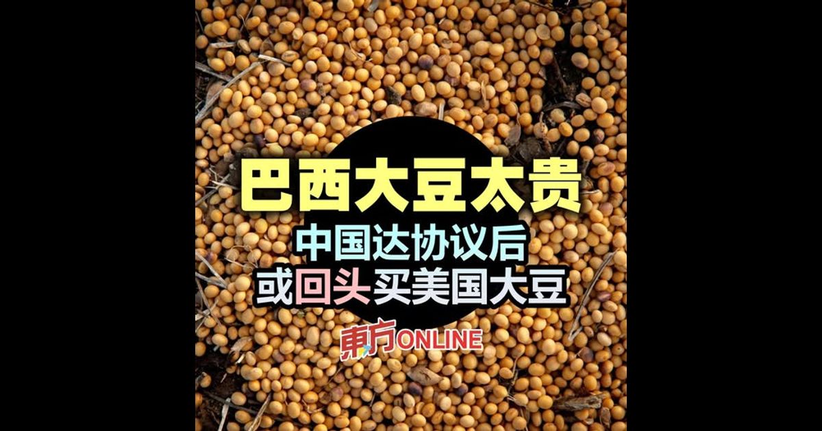 巴西大豆太贵　中国达协议后或回头买美国大豆