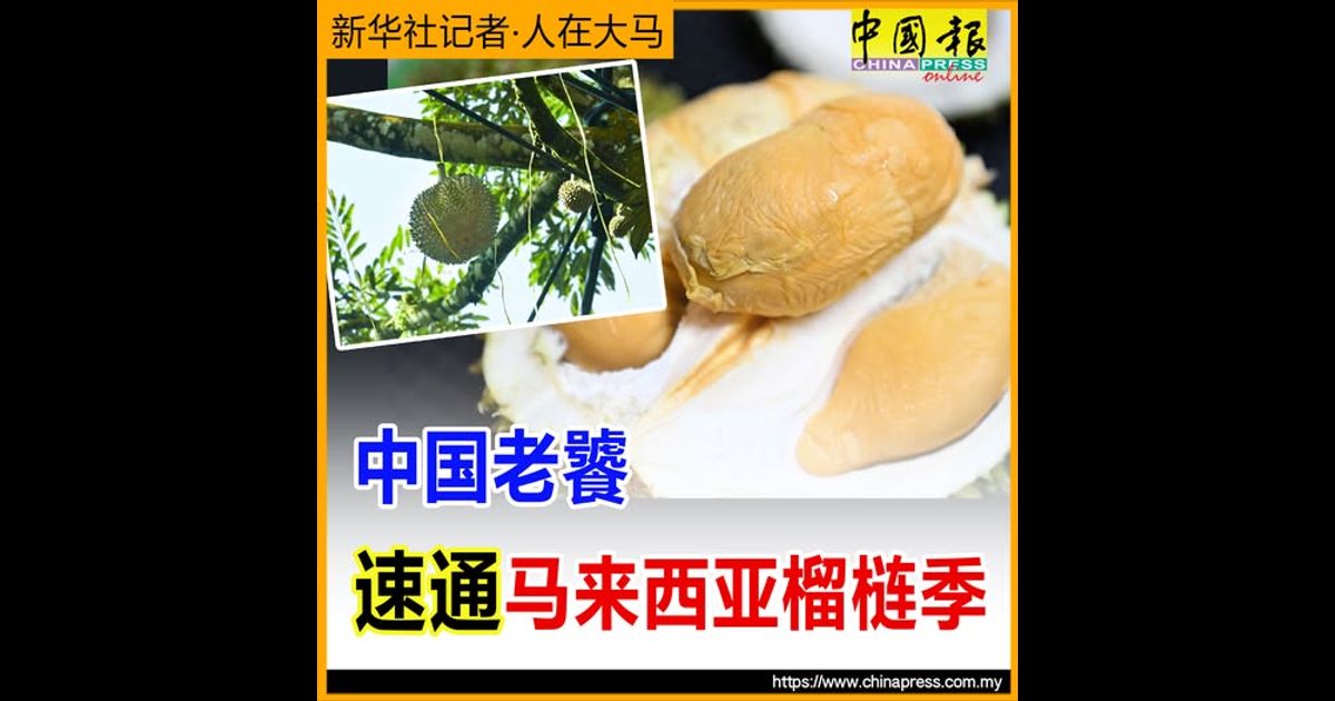 新华社记者‧人在大马｜中国老饕 “速通”马来西亚榴梿季