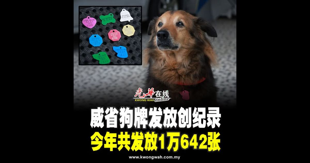 威省狗牌发放创纪录 今年共发放1万642张