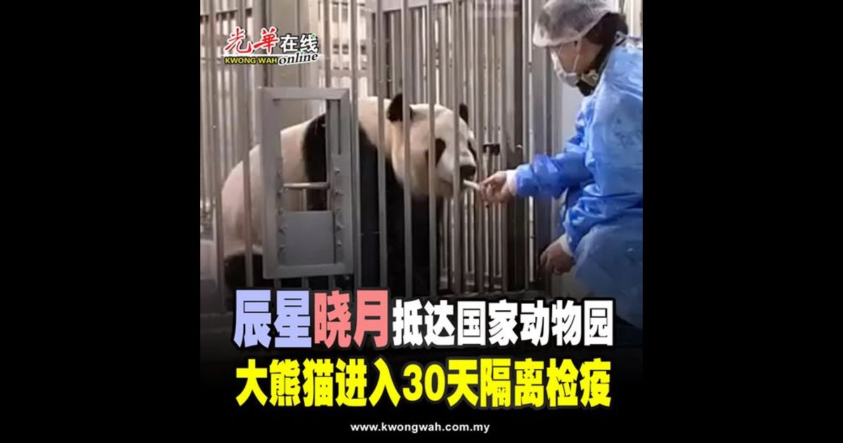 “辰星”“晓月”抵达国家动物园 大熊猫进入30天隔离检疫