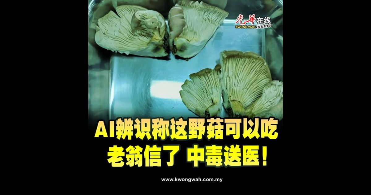 印尼船员疑坠海失踪 槟消拯因恶劣天气暂停搜救