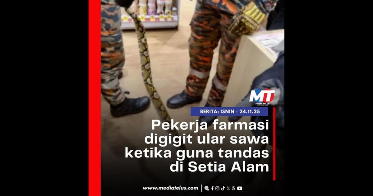 Pekerja farmasi digigit ular sawa ketika guna tandas di Setia Alam