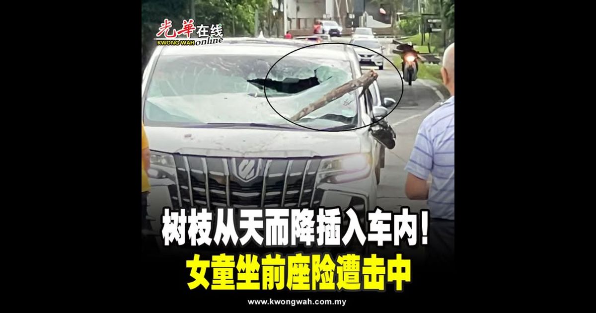 树枝从天而降插入车内！女童坐前座险遭击中