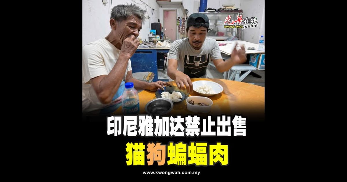 印尼雅加达禁止出售 猫狗蝙蝠肉