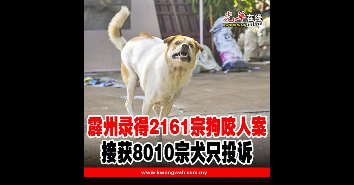 霹州录得2161宗狗咬人案　接获8010宗犬只投诉