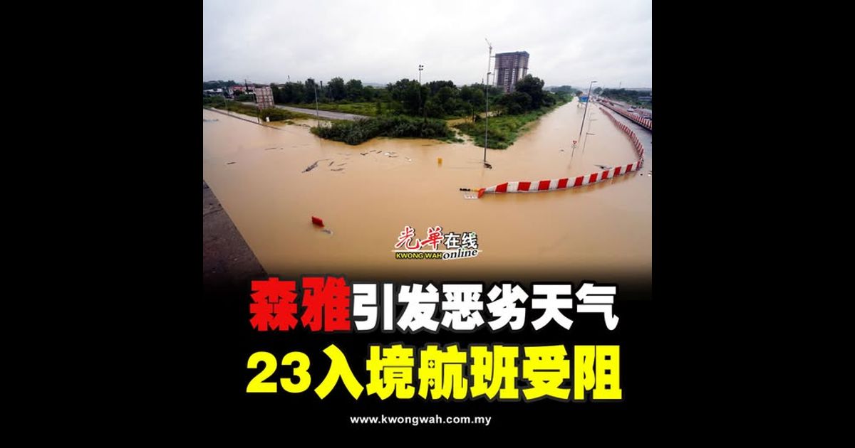 森雅引发恶劣天气 23入境航班受阻