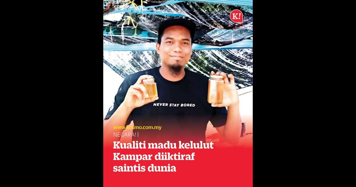 Kualiti madu kelulut Kampar diiktiraf saintis dunia