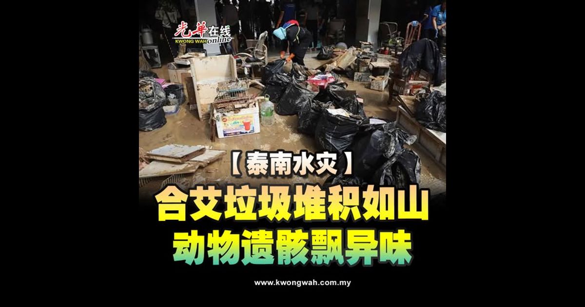 【泰南水灾】合艾垃圾堆积如山 动物遗骸飘异味