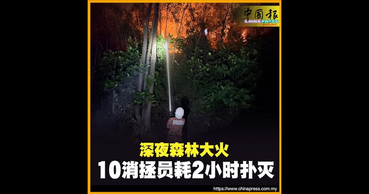 深夜森林大火 10消拯员耗2小时扑灭