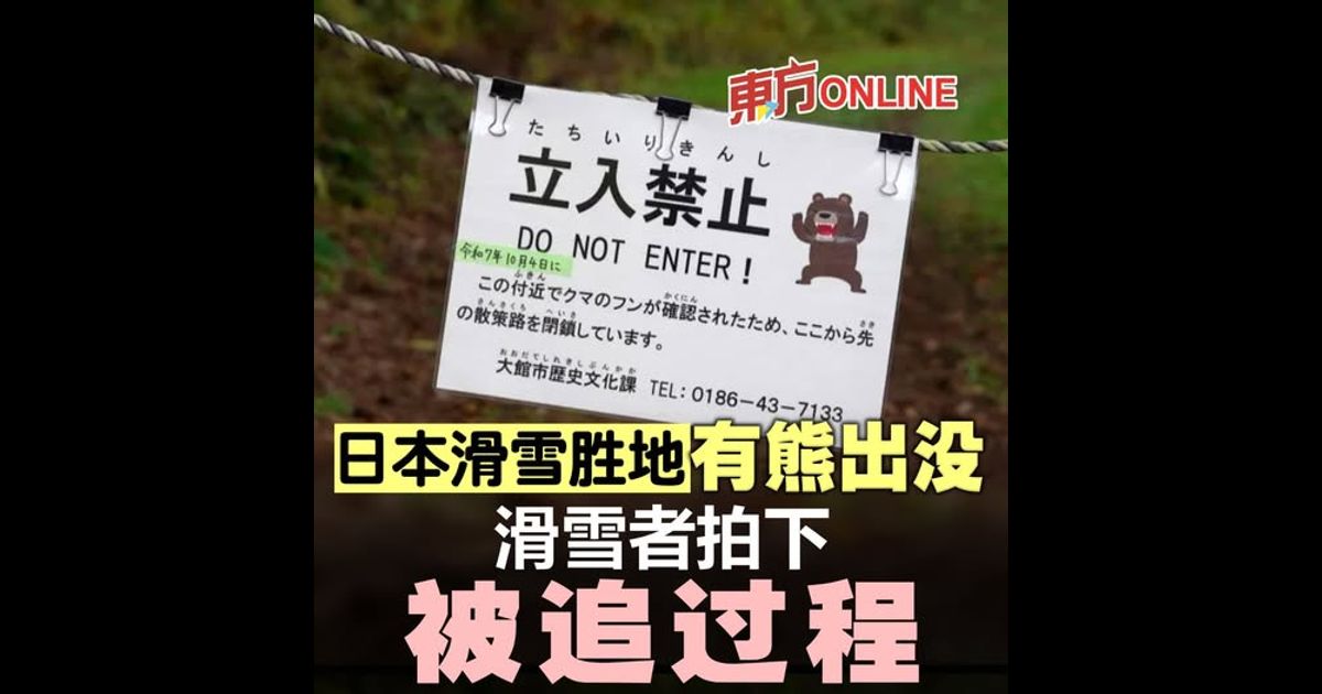 日本滑雪胜地有熊出没 滑雪者拍下被追过程