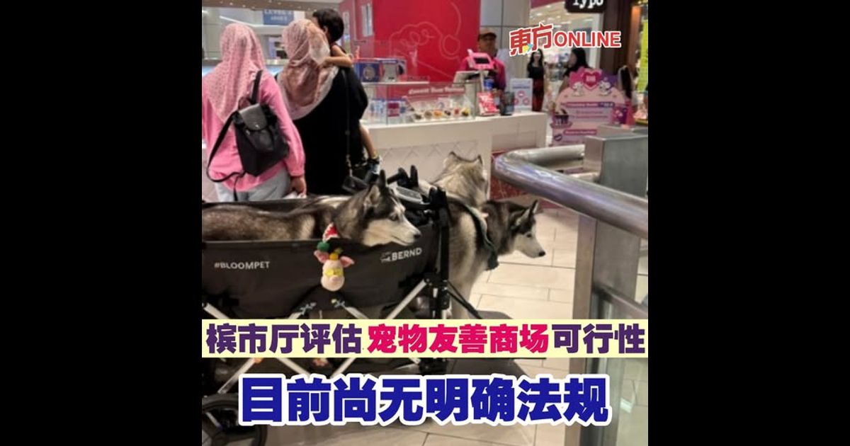 槟市厅评估宠物友善商场可行性　目前尚无明确法规
