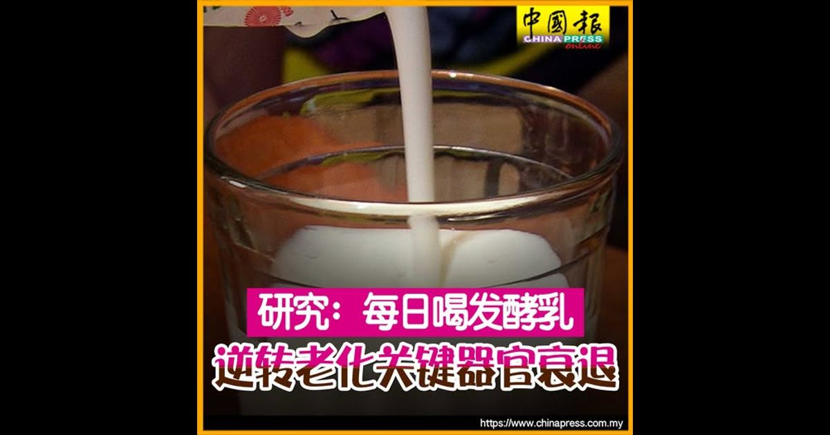 研究：每日喝发酵乳 逆转老化关键器官衰退
