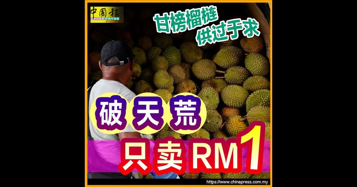 甘榜榴梿供过于求 破天荒只卖RM1
