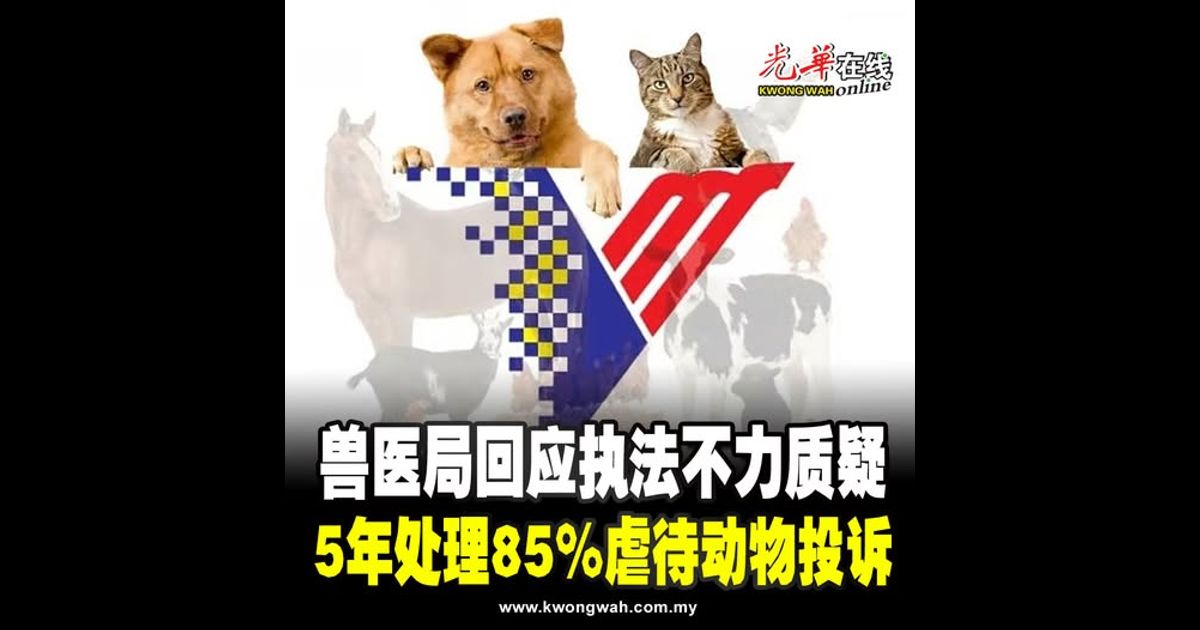 兽医局回应执法不力质疑 5年处理85%虐待动物投诉