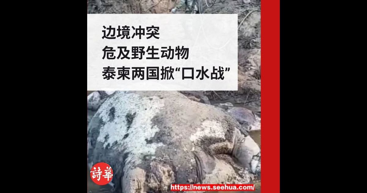 边境冲突危及野生动物　泰柬两国掀“口水战”