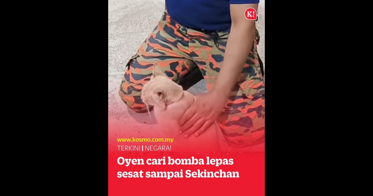 Oyen cari bomba lepas sesat sampai Sekinchan