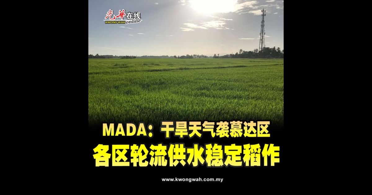 MADA：干旱天气袭慕达区 各区轮流供水稳定稻作