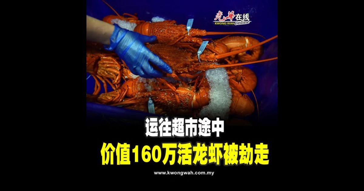 运往超市途中 价值160万活龙虾被劫走