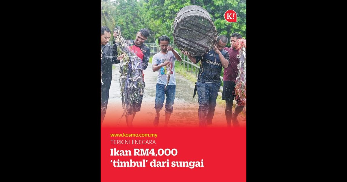 Ikan RM4,000 ‘timbul’ dari sungai