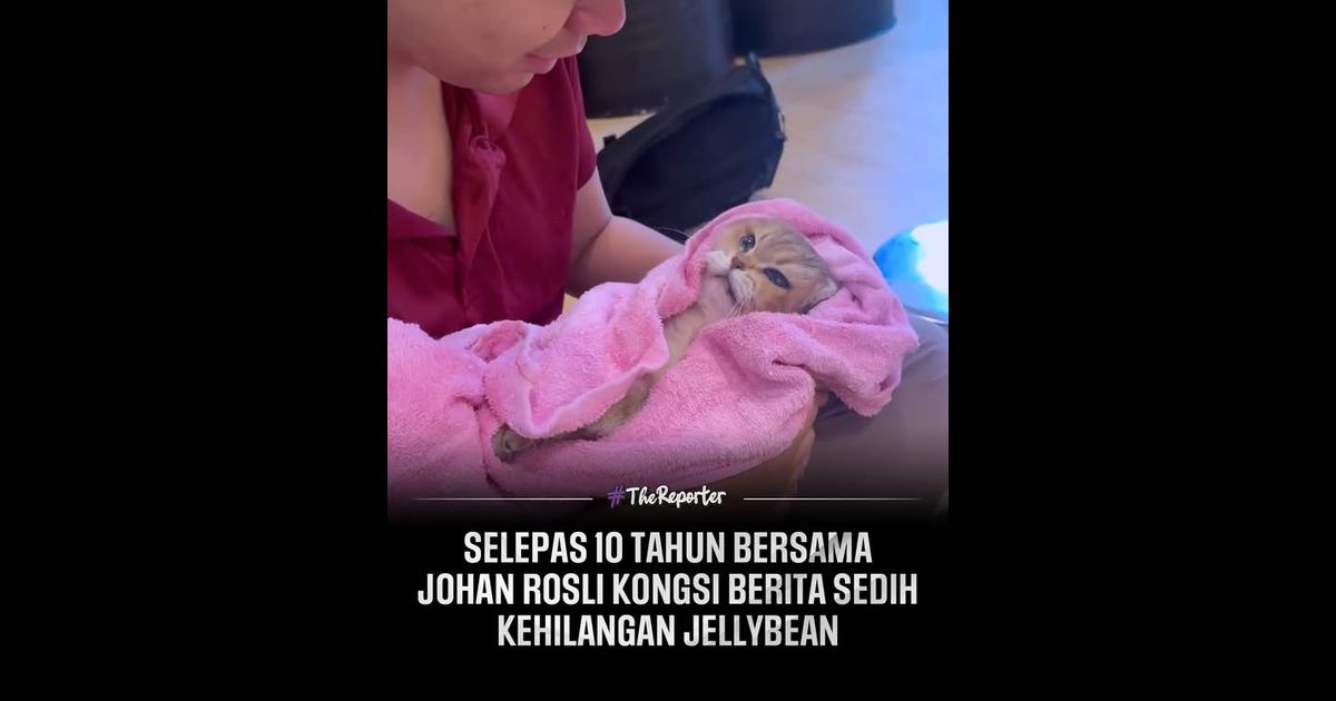 Personaliti media sosial Johan Rosli berkongsi berita duka mengenai kematian kucing kesayangannya Jellybean yang telah pergi meninggalkan kita semua pada 25 November lalu.
