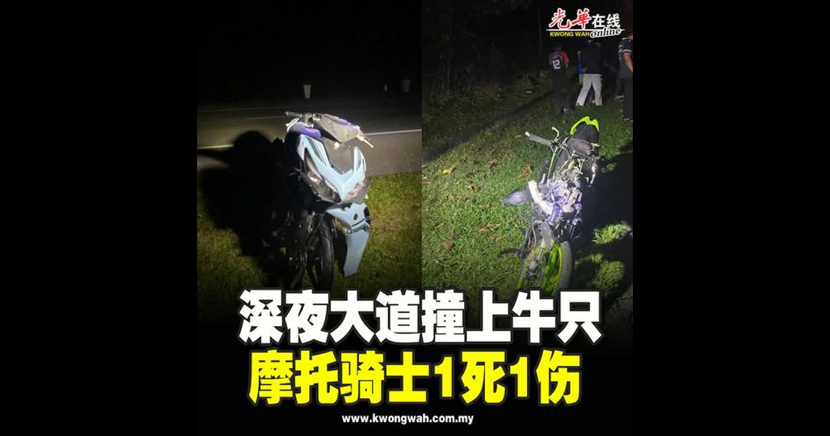 深夜大道撞上牛只 摩托骑士1死1伤