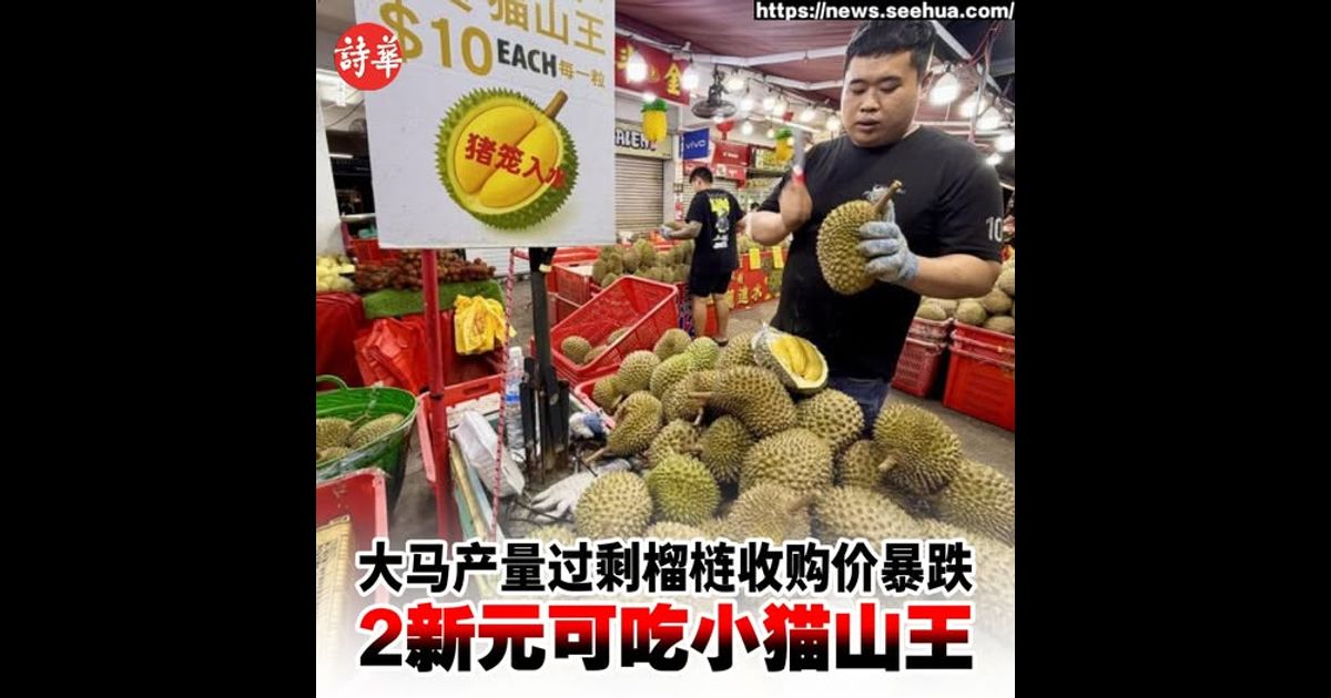 大马产量过剩榴梿收购价暴跌　2新元可吃小猫山王