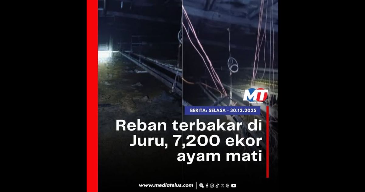 Reban terbakar di Juru, 7,200 ekor ayam mati