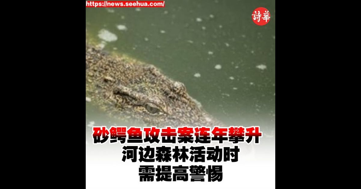 砂鳄鱼攻击案连年攀升 河边森林活动时需提高警惕