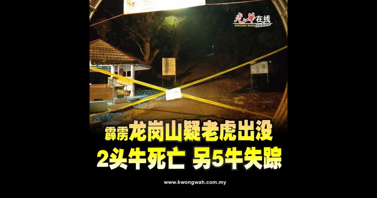 霹州龙岗山疑老虎出没 2头牛死亡 另5牛失踪