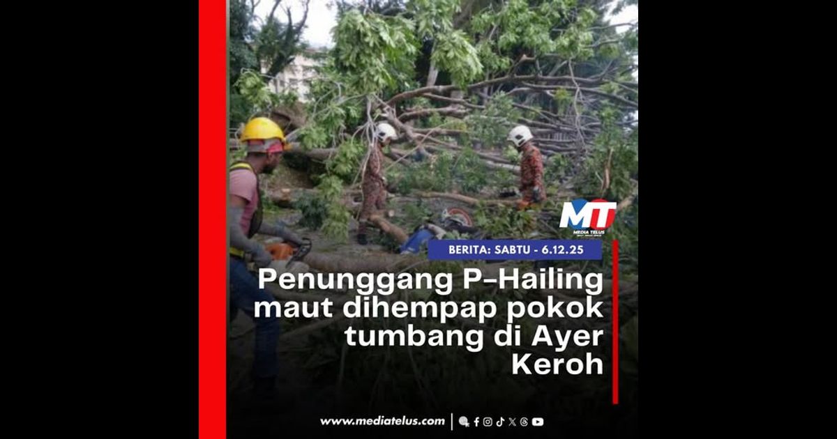 Penunggang P-Hailing maut dihempap pokok tumbang di Ayer Keroh
