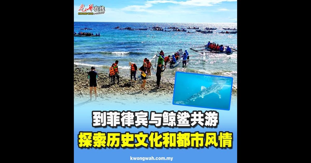 到菲律宾与鲸鲨共游 探索历史文化和都市风情