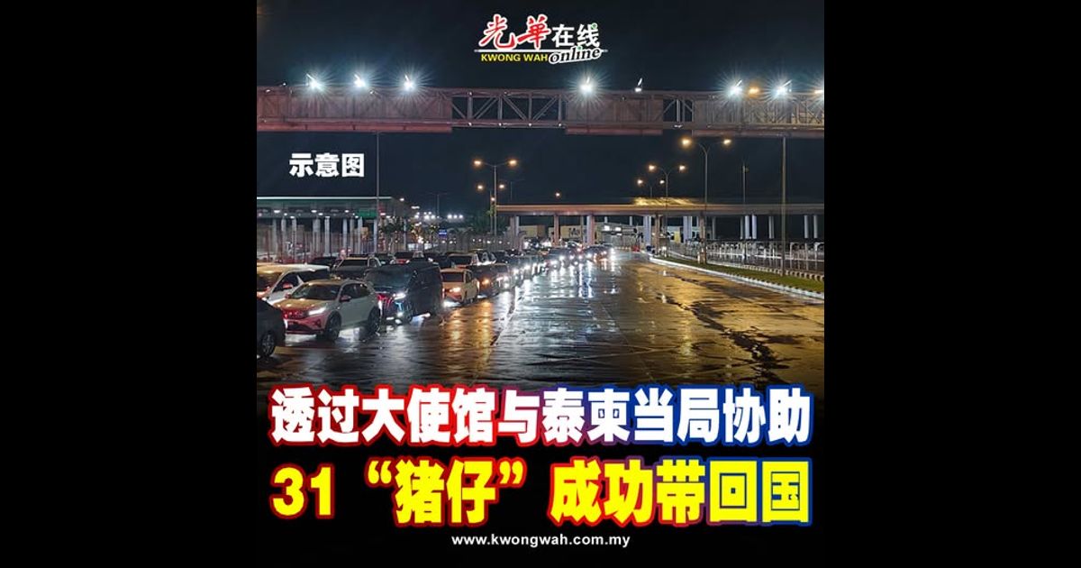 透过大使馆与泰缅当局协助 31“猪仔”成功带回国