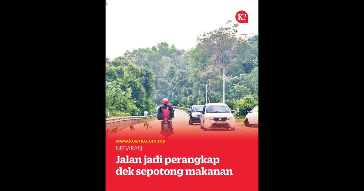 Jalan jadi perangkap dek sepotong makanan