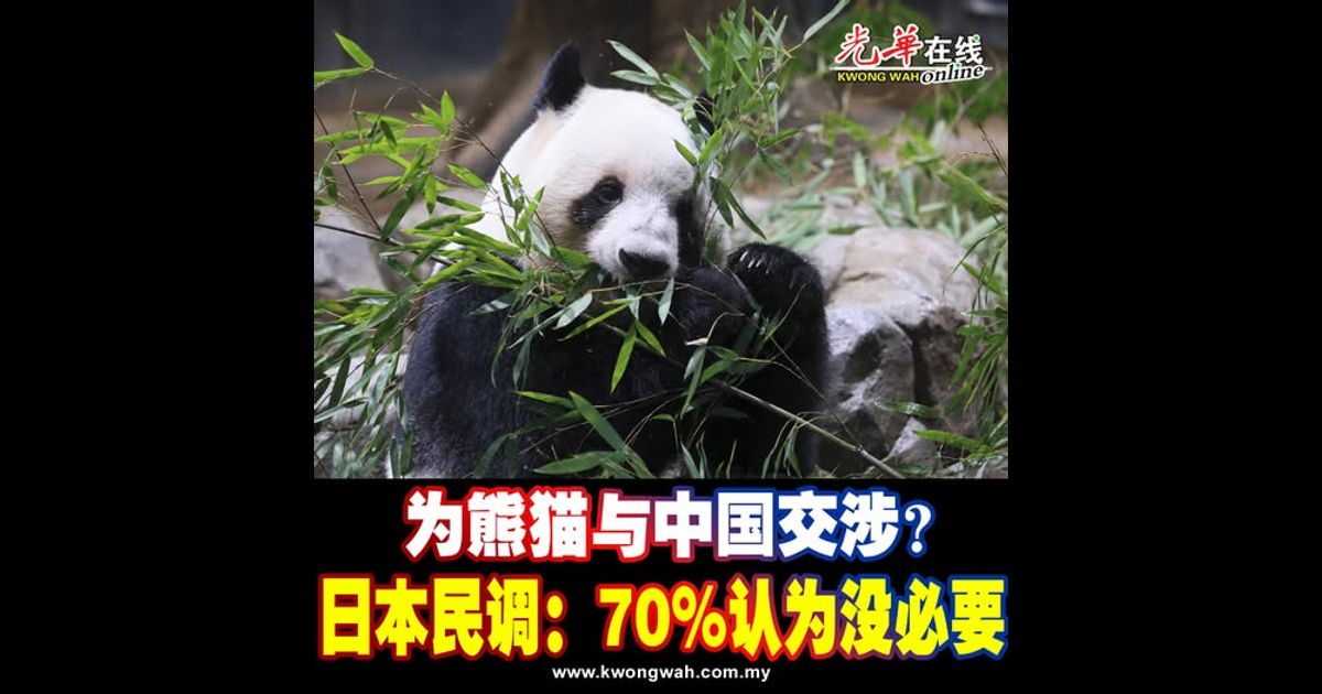 为熊猫与中国交涉？ 日本民调：70%认为没必要