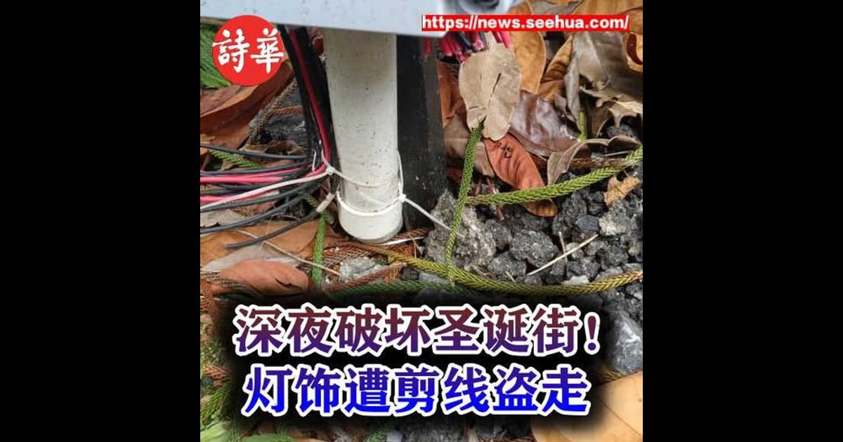 深夜破坏圣诞街！La Promenade 灯饰遭剪线盗走