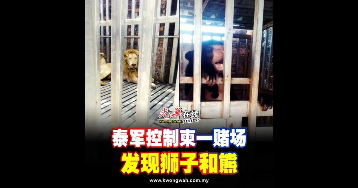 【泰柬冲突】泰军控制柬一赌场 发现狮子和熊