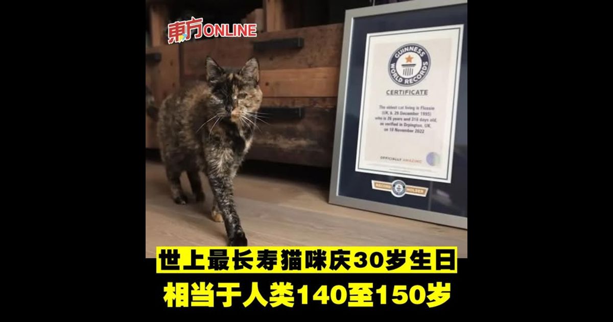 世上最长寿猫咪庆30岁生日　相当于人类140至150岁