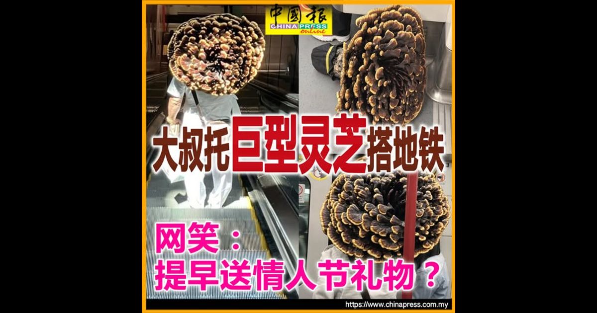 大叔托“巨型灵芝”搭地铁 网笑：提早送情人节礼物？