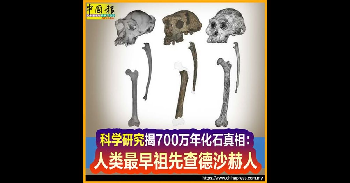 科学研究揭700万年化石真相：人类最早祖先查德沙赫人