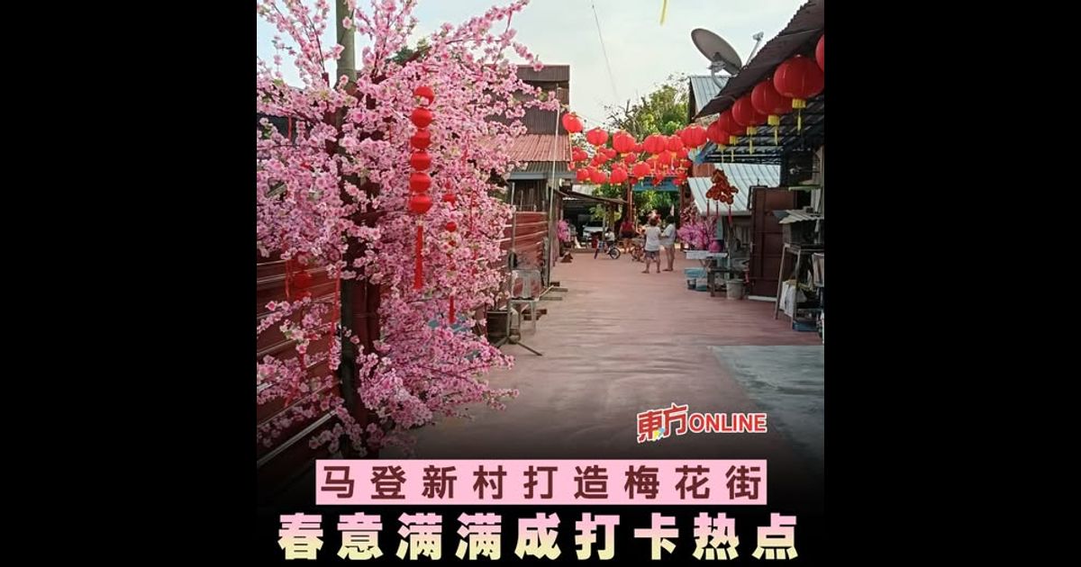 马登新村打造梅花街　春意满满成打卡热点