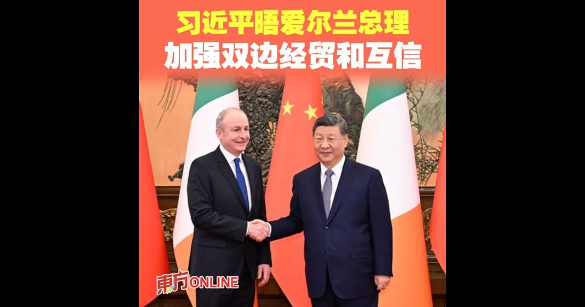 习近平晤爱尔兰总理　加强双边经贸和互信