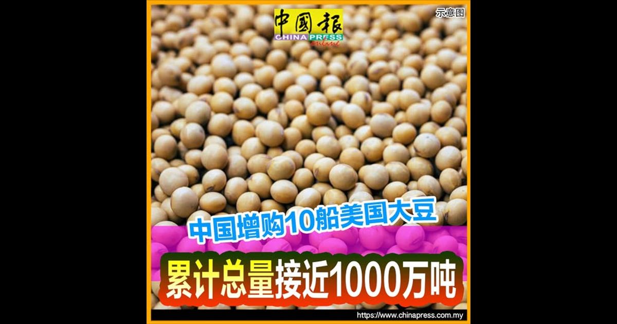 中国增购10船美国大豆 累计总量接近1000万吨