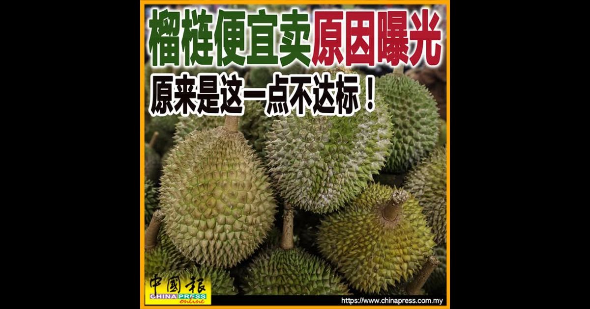 榴梿便宜卖原因曝光 原来是这一点不达标！